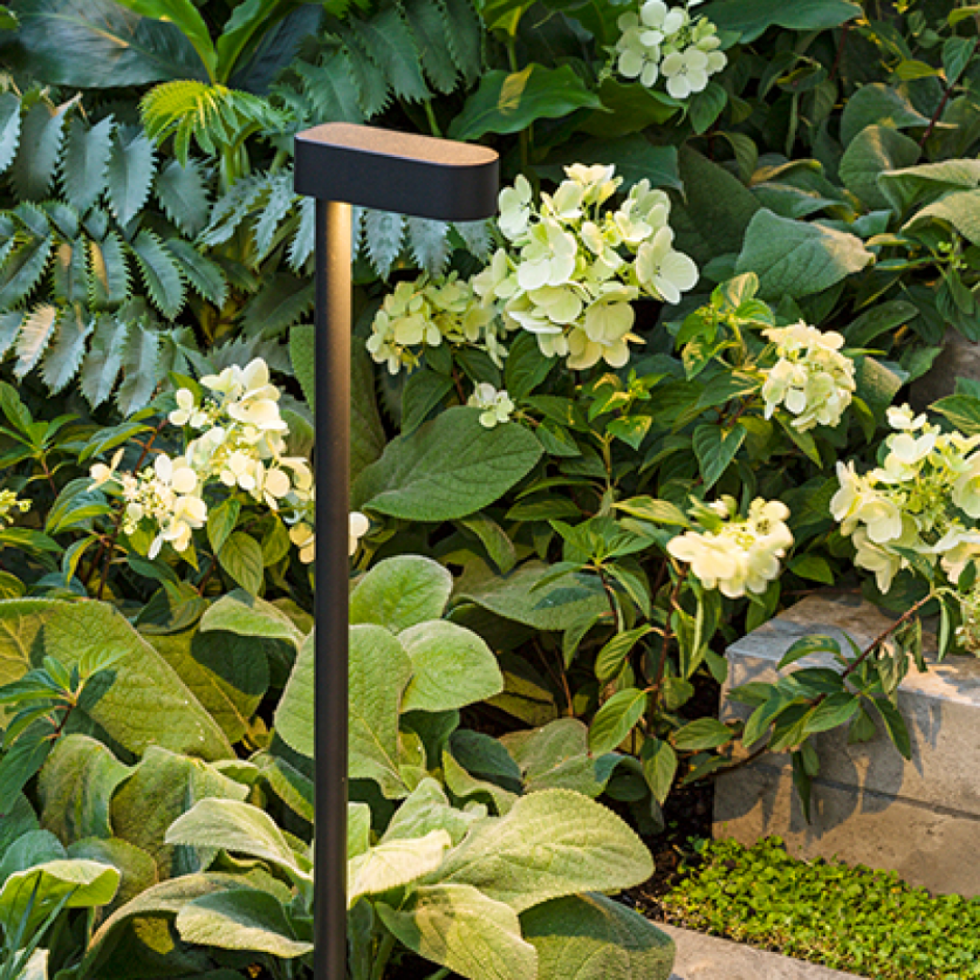 Exterior Path/Bollard Lights