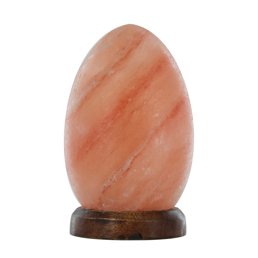 12V 12W Egg Himalayan Pink Salt Lamp Carved Rock Crystal Light Bulb On/Off Switch